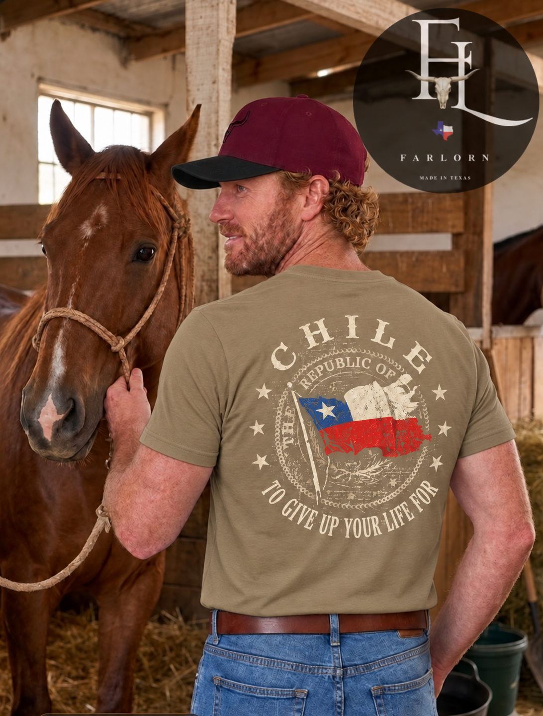 REPUBLIC OF CHILE